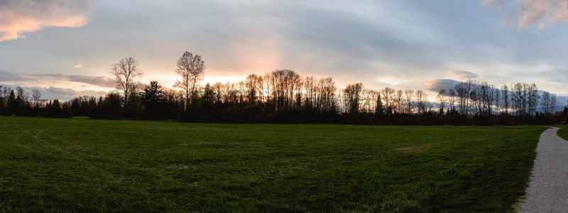 Township of Langley Field